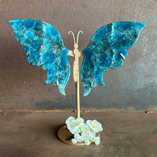 Blue Apatite Crystal Wings on Butterfly Stand (Medium Size)– Spiritual Healing, Renewal & Inspired Transformation