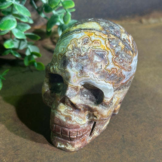 Mexican Agate Skull