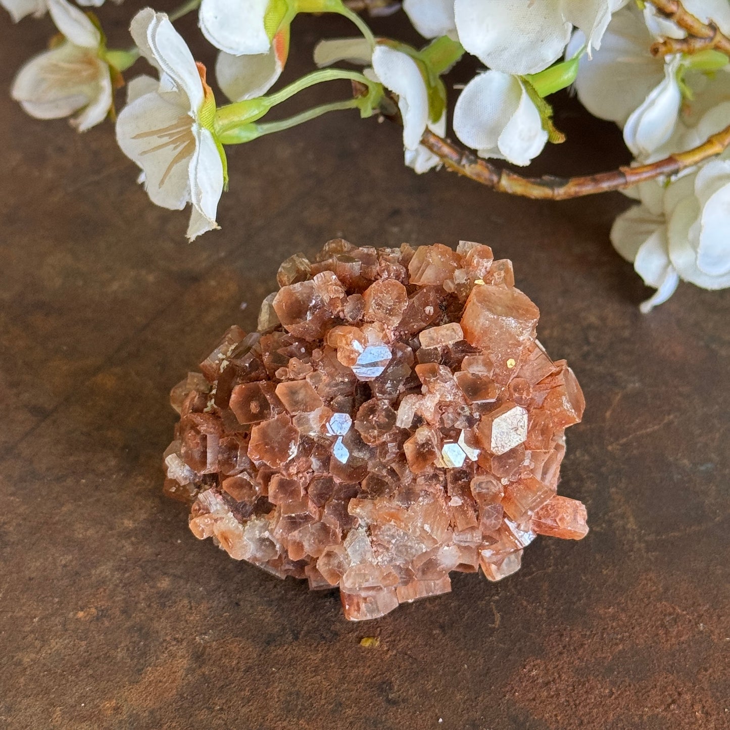 Aragonite Cluster – Grounding Crystal for Emotional Balance, Grief Support & Inner Peace