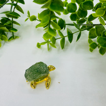 Turtle With Crystal Gem