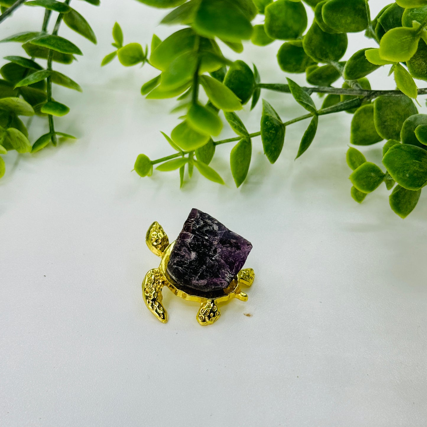 Turtle With Crystal Gem