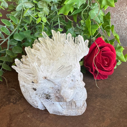 Clear Quartz Cluster Natural Stone Skull Carving - 714g
