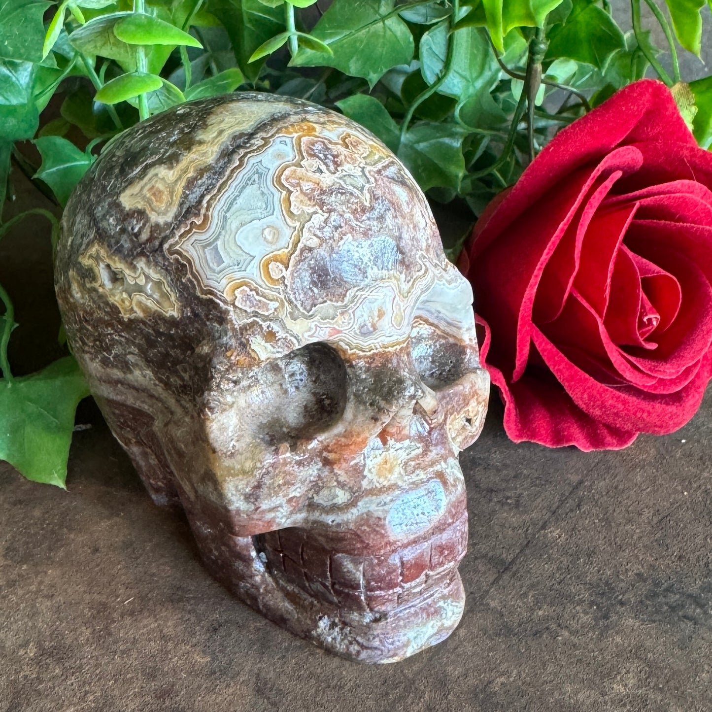 Mexican Agate Skull – Grounding, Emotional Healing & Spiritual Transformation (540g)