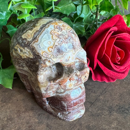 Mexican Agate Skull – Grounding, Emotional Healing & Spiritual Transformation (540g)