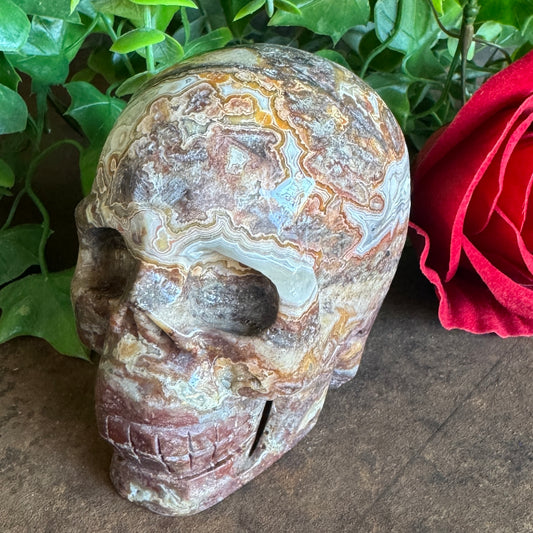 Mexican Agate Skull – Grounding, Emotional Healing & Spiritual Transformation (540g)