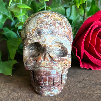 Mexican Agate Skull – Grounding, Emotional Healing & Spiritual Transformation (540g)