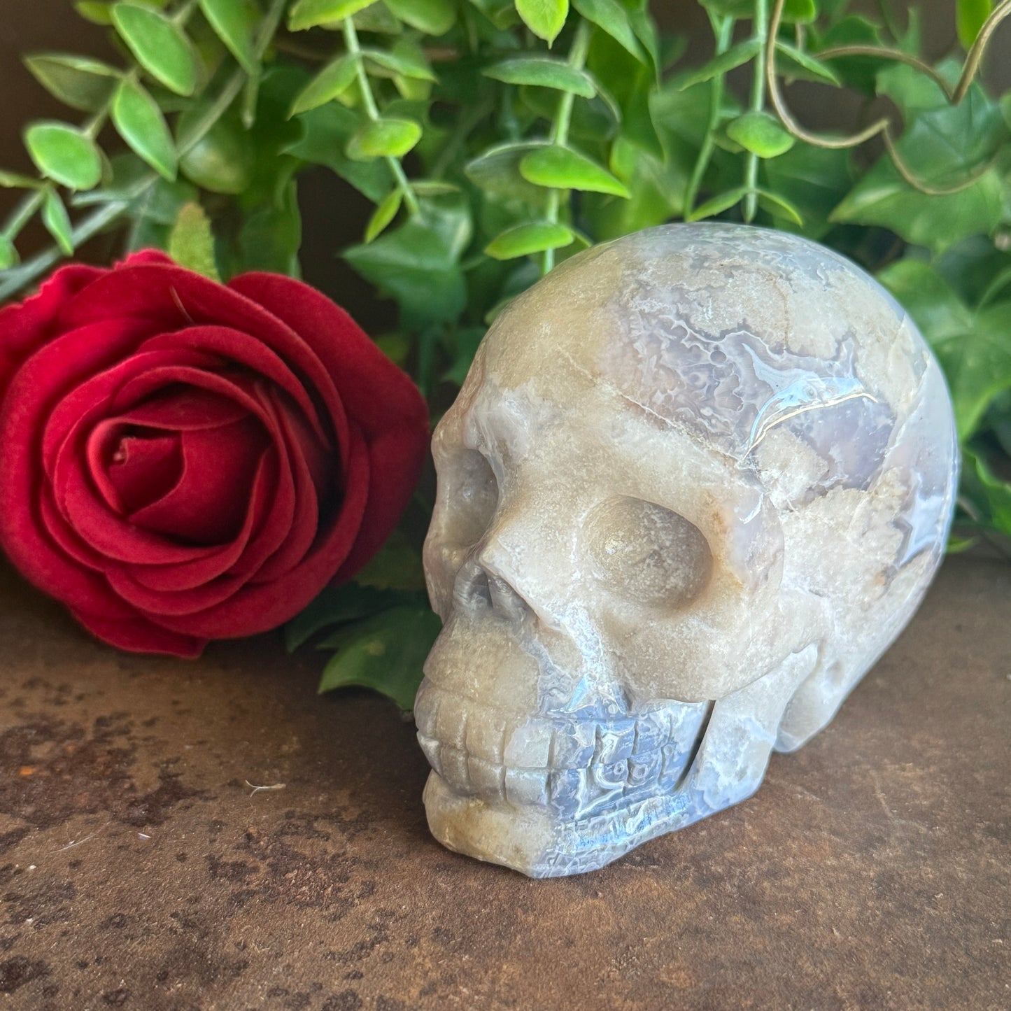 Blue Flower Agate Crystal Skull – Healing Stone Skull for Growth, Balance & Inner Peace (520g)