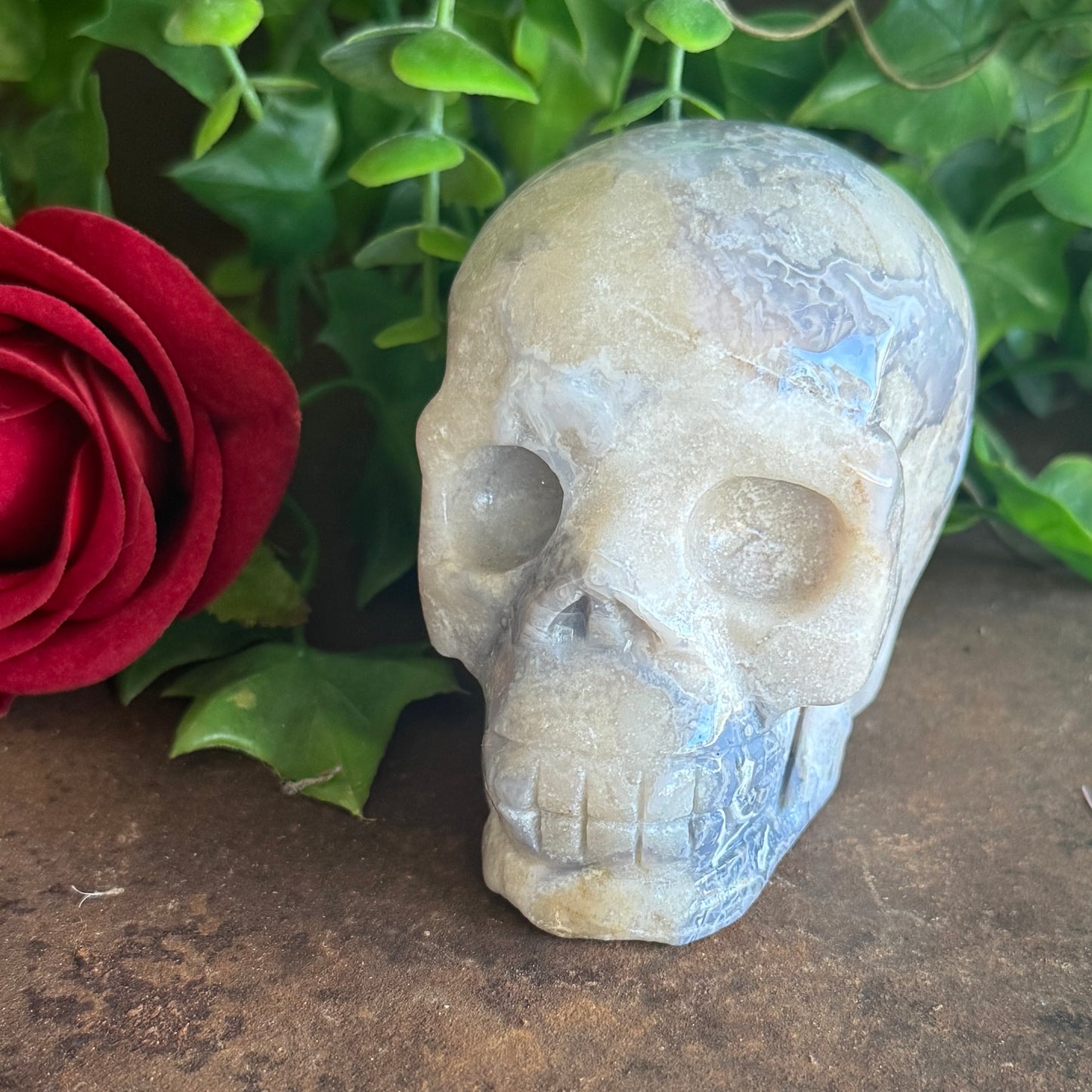 Blue Flower Agate Crystal Skull – Healing Stone Skull for Growth, Balance & Inner Peace (520g)