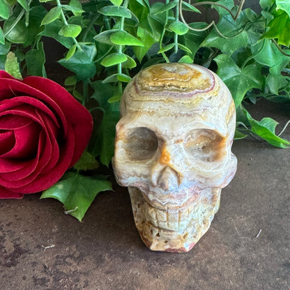 Crazy Agate Crystal Skull – Healing Stone Skull for Stability, Protection & Inner Strength (400g)