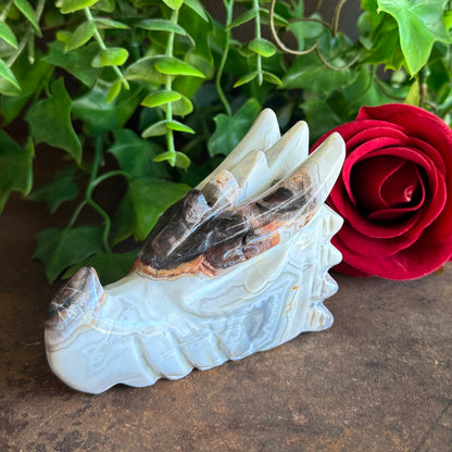 Mexican Agate Dragon – Healing Crystal for Strength, Balance & Spiritual Transformation
