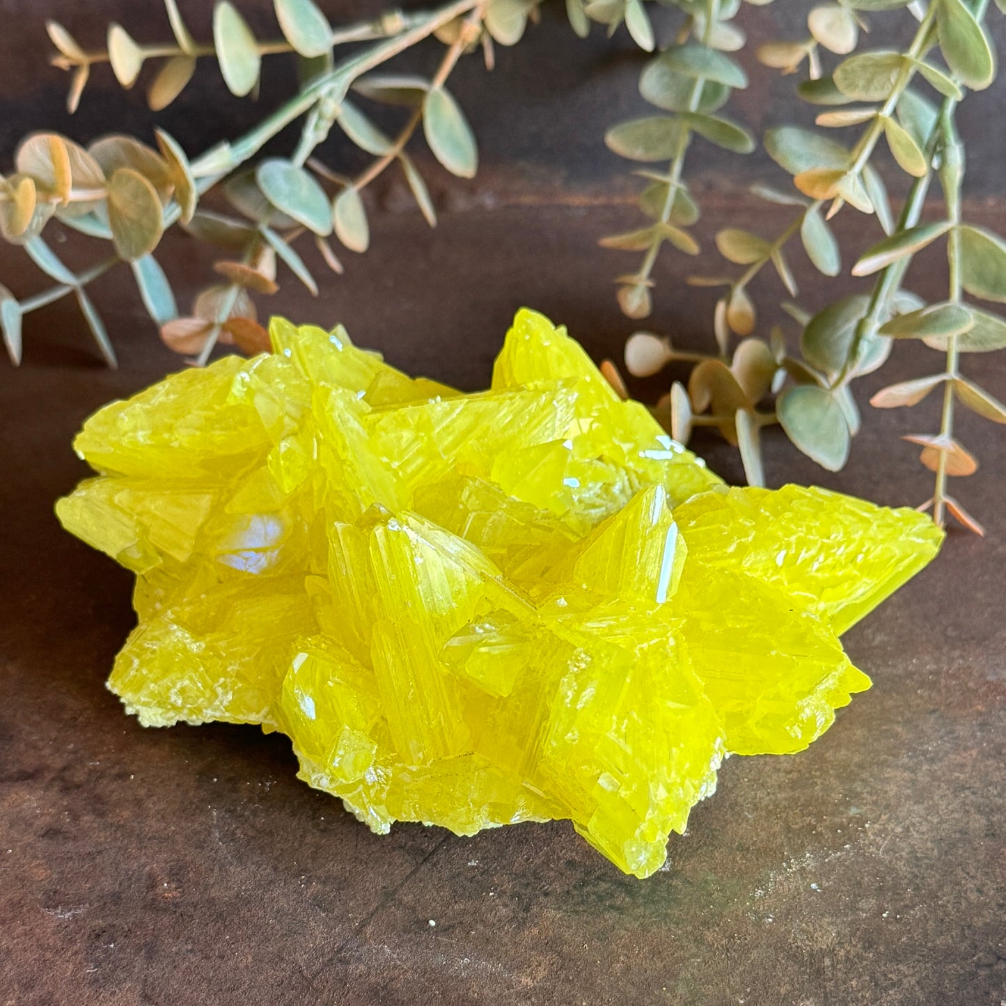 Sulphur Specimen – Purification, Energy Clearing & Spiritual Healing