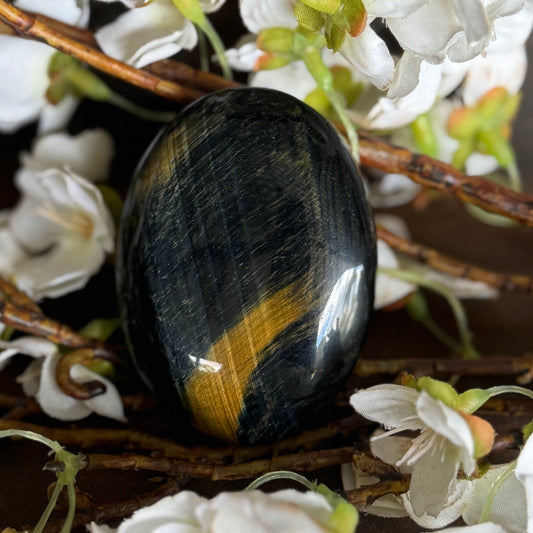 Blue Tiger’s Eye Palm Stone – Spiritual Healing, Protection & Calm Focus