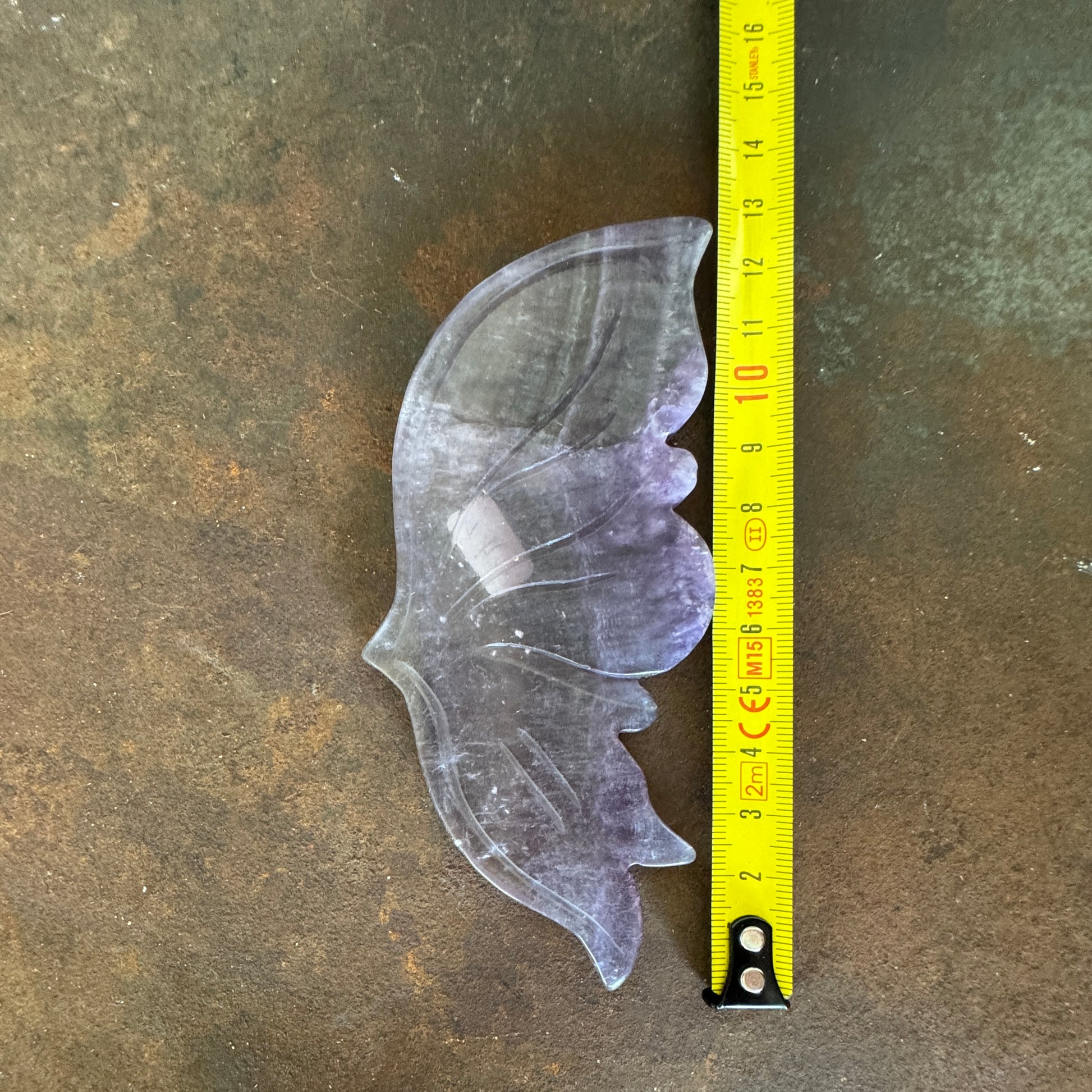 Butterfly wing with a yellow measuring tape on a brown surface