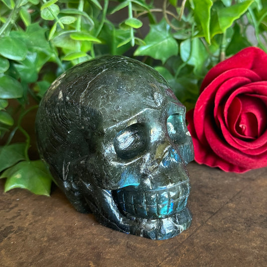 Carved stone skull with a red rose and green leaves in the background
